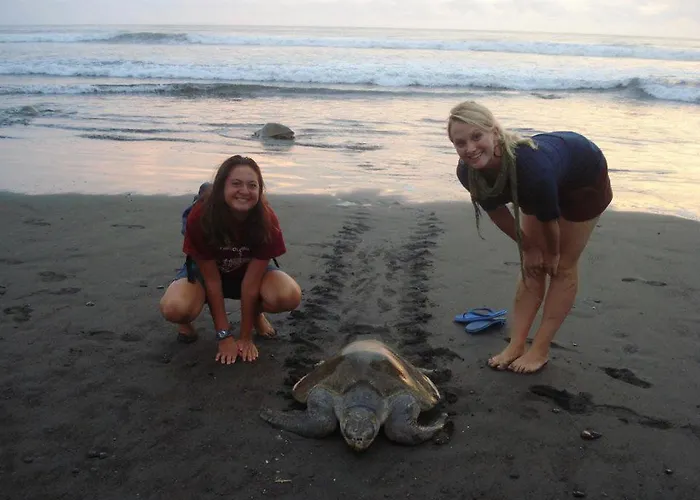 Bed & Breakfast Turtle 3*