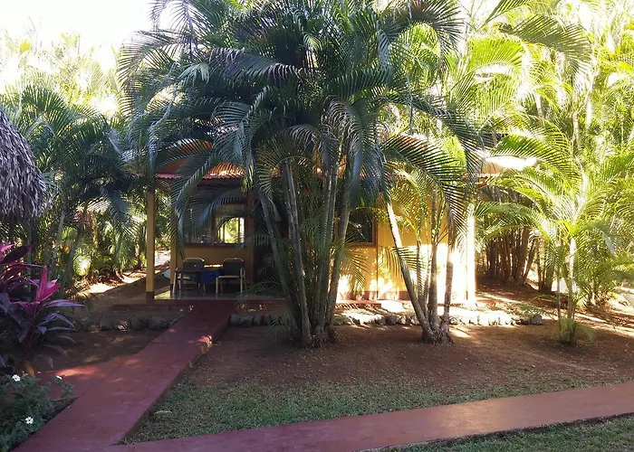 Bed & Breakfast Turtle Corozalito