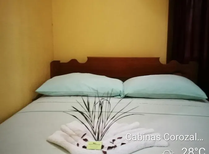Bed & Breakfast Turtle