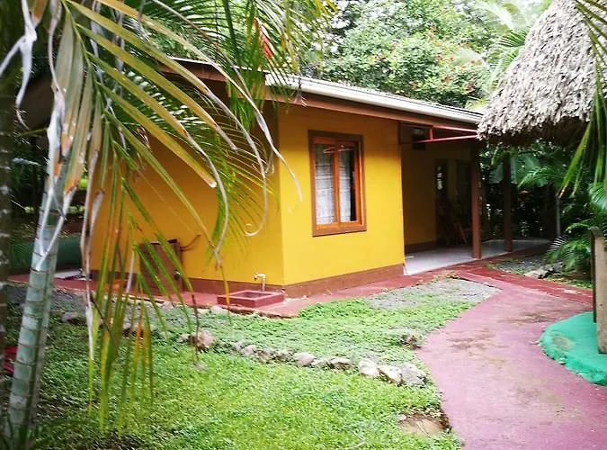 Turtle Acomodação com café da manhã 