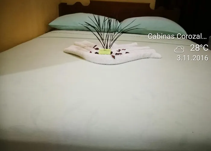 Bed & Breakfast Turtle