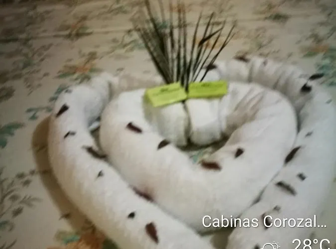 Turtle Bed & Breakfast 3*