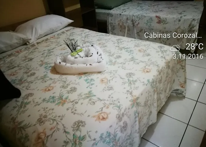 Turtle Corozalito