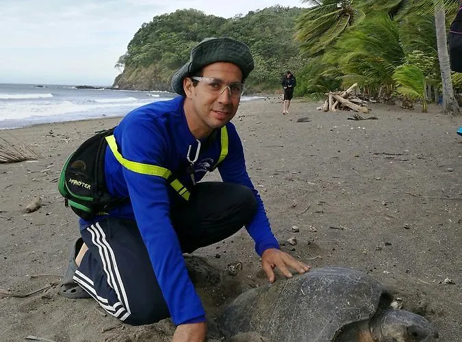 Turtle Bed & Breakfast 3*